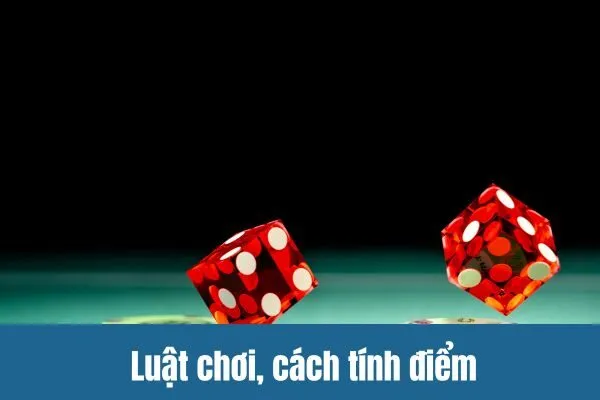 Sicbo nohu90 Cách Đặt Cược Và Tăng Cơ Hội Thắng Lớn