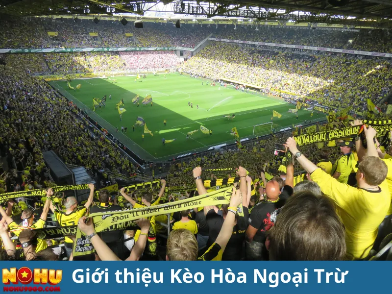 Kèo Hòa Ngoại Trừ – Tất Tần Tật Thông Tin Bạn Cần Biết